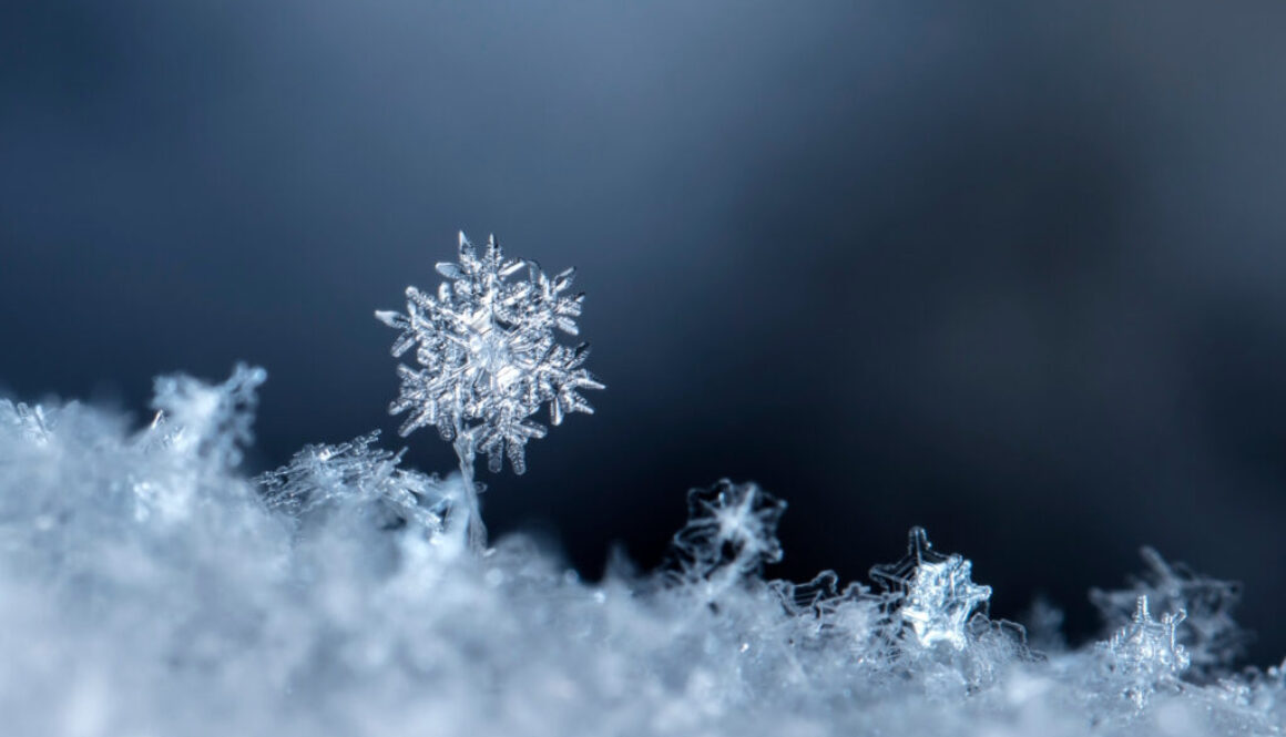 snowflake, little snowflake on the snow snowflake, little snowflake on the snow